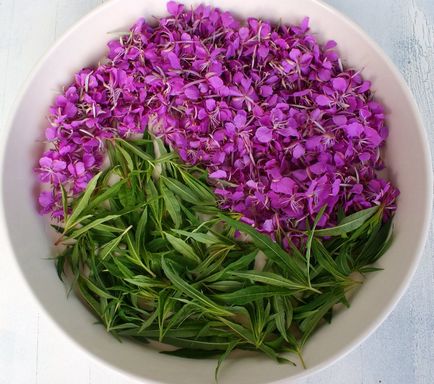 Колко полезна fireweed Колко полезна fireweed