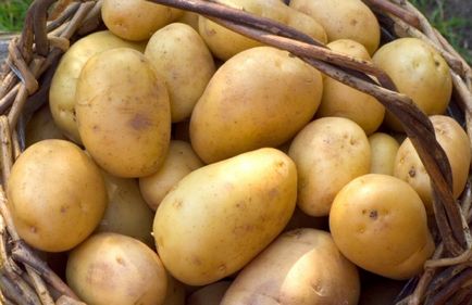 Как да се измие ръцете си млади картофи Как да се измие ръцете си млади картофи