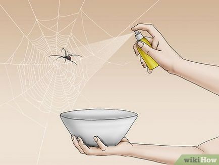 Защо се страхуват паяци