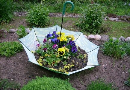 Как да украсят вашата градина