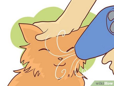Как да се къпят коте