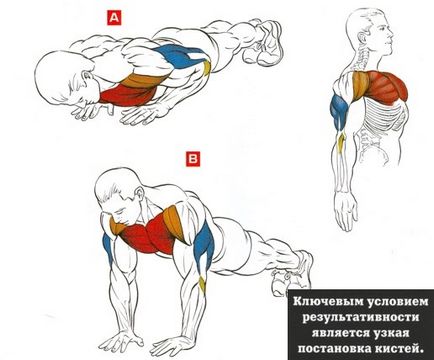 Как да се разшири раменете