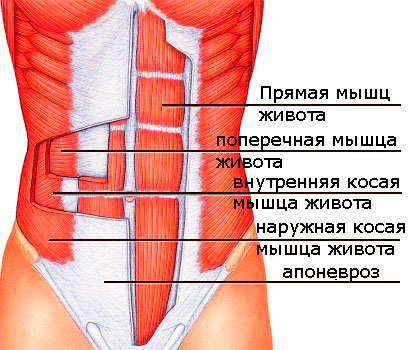 Как да се направи, е натиснете