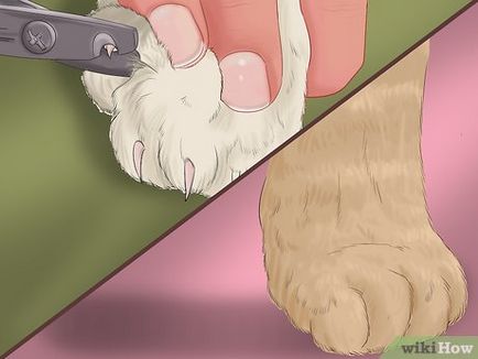 Отрязаното нокти при котките