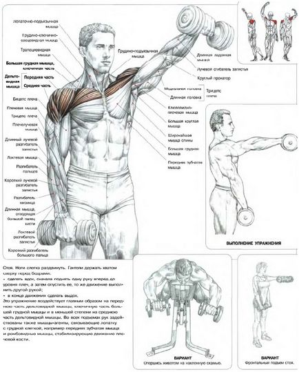 Как да се разшири раменете