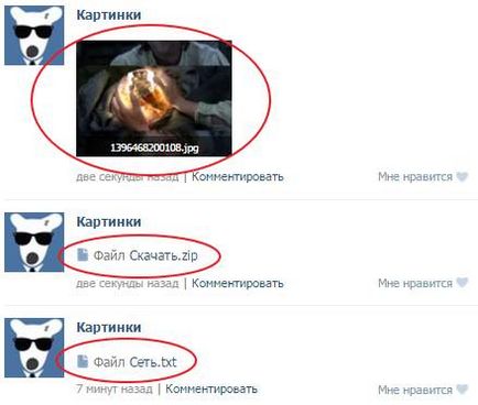 Какво е администратор в VKontakte