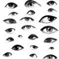 Както очите ни виждат