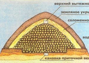 Как да съхранявате картофи