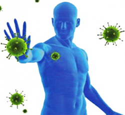 Как да се предпазите от вируси