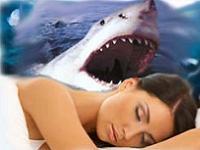 Shark мечта книга какво