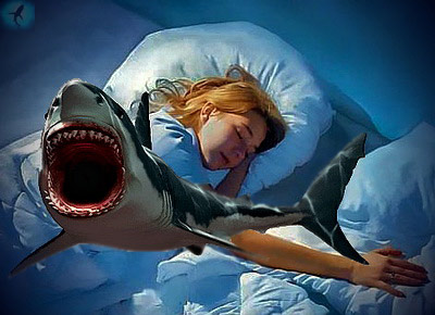 Shark мечта книга какво