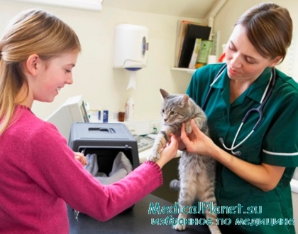 Когато за ваксиниране на котката ви