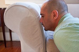 Как да премахнете миризмата на урина от дивана