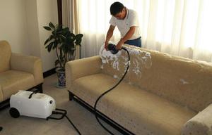 Как да премахнете миризмата на урина от дивана