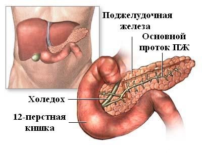 Какво може да отрови хапче