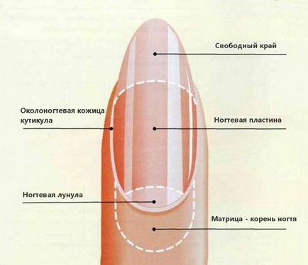 Както и с пила за нокти