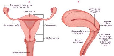 Ярка стомаха като преди менструация