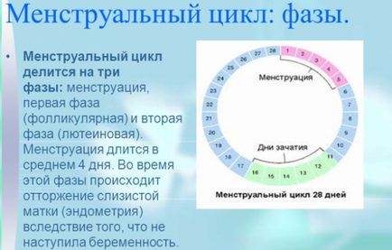 Как да се намали прогестерон Как да се намали прогестерон