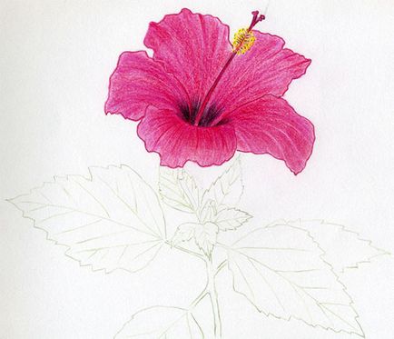 Как да нарисувате ваза с цветя