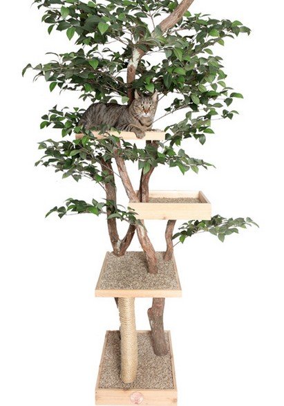 Дърво за котки