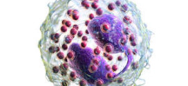 Лимфоцити при деца, които са