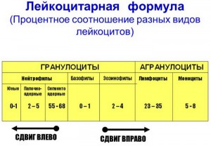 Лимфоцити при деца, които са