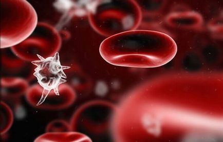 11 интересни факти за кръвта на човека