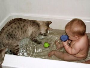 30 Забавни снимки на деца с котки