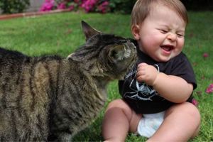 30 Забавни снимки на деца с котки