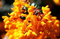 Какво очаквате от живота (организиране на гараж продажба) Какво очаквате от живота