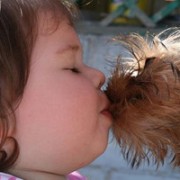 Целувките са изпълнени с кучета - всичко за кучета