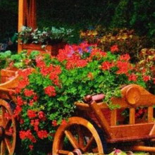 Цветна градина в страната със собствените си ръце дизайна на фото устройство и цветни лехи, как да се направи цветна градина