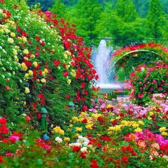 Цветна градина в страната със собствените си ръце дизайна на фото устройство и цветни лехи, как да се направи цветна градина
