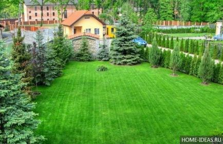 Косене на трева в страната със собствените си ръце (вила) Косене на трева в страната със собствените си ръце