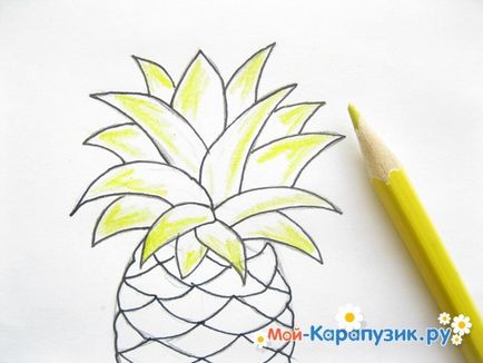 Как да се направи етапи молив ананас (равенство) Как да се направи етапи молив ананас