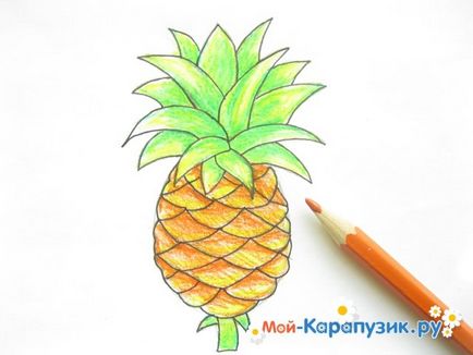 Как да се направи етапи ананас молив (Pencil) Как да се направи етапи молив ананас