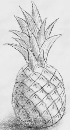 Как да се направи етапи молив ананас, lessdraw