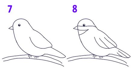 Как да се направи бебе птици