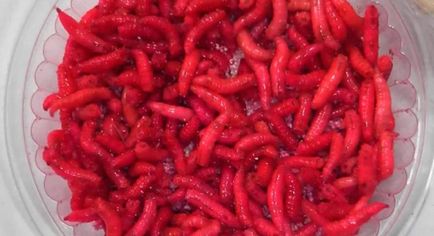 Как да рисувате червени червеи и ароматизирани у дома