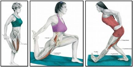 Как да разтегнете мускулите