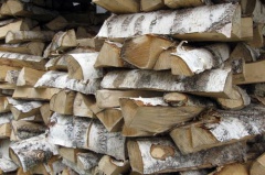 Как да се нагрява баня дърва за огрев на всички етапи от почистване с пара за разпалването на пещта