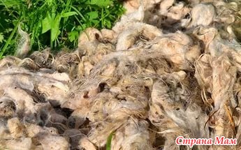 Както завъртане вълна овце (вълна) Как да се върти вълна от овце