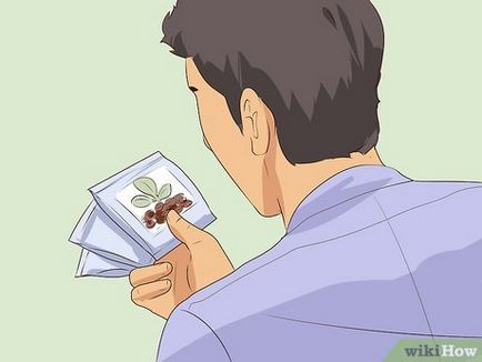 Как да расте семена у дома