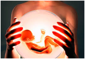 Клиника сурогатното майчинство - статии, еко-блог