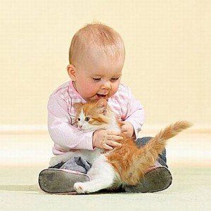 Котка и малко дете в къщата, за да бъде или да не бъде, domoteya