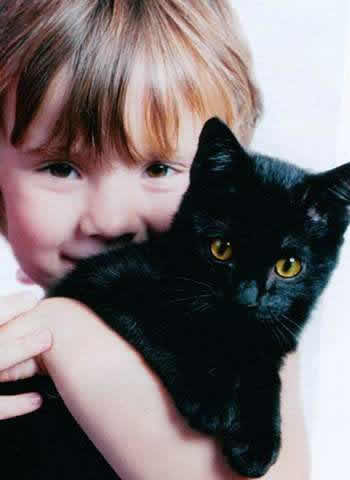Котка и малко дете в къщата на плюсовете и минусите
