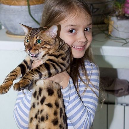 Котка и малко дете в къщата на плюсовете и минусите