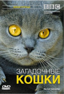 Котки - документален филм онлайн