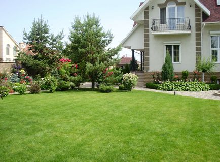 Една красива морава в къщичката, озеленяване задния двор или крайградски район, дизайнът на цветни лехи