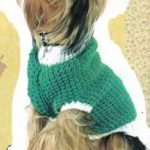 Майсторски как да плета пуловер за спиците на кучета